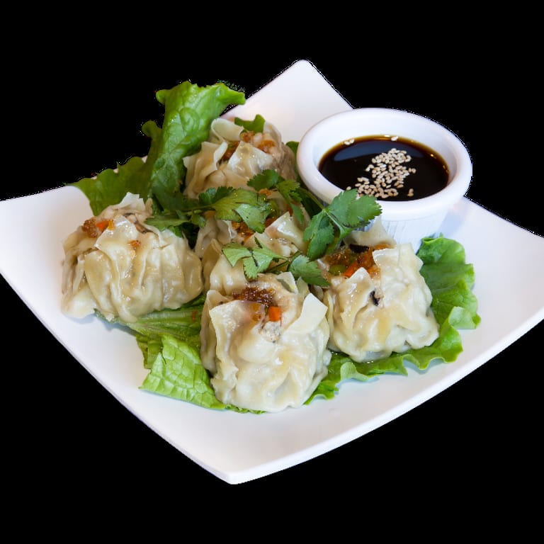 Delicious Dumplings: Thai and Asian Delights